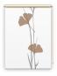 Preview: Rollo Ginkgo grey-capuccino, Motivrollo, Rollo mit Druck, Fotorollo, bedrucktes Rollo, Fensterrollo,verdunkelndes Rollo, Sonnenschutz Rollo